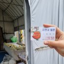 수신농장 | 천안 수신면 나들이, 5~6월에만 맛 볼 수 있다는 수신메론🍈 내돈내산 농장 방문 구매 후기🍈