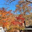 돌고래 펜션 | 청도 단체펜션, 넓고 깔끔한 시설이 돋보이는 청도강변돌고래펜션 후기