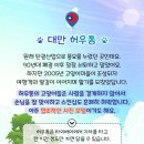 다솜고양이메디컬센터 이미지