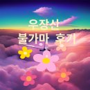 우장산불가마사우나 이미지