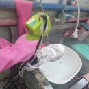 친환경운동화손세탁 이미지