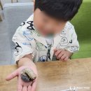 웅진북클럽포항사업국