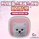 24시굿케어동물의료센터 이미지