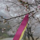 성수면 야구장 이미지