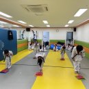 바른i 태권도 이미지