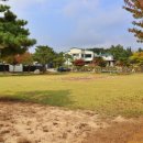 충주호 캠핑월드 이미지