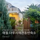 제주첫날두근 | 애월 제주 더루시애견동반숙소 조용한 감성 독채펜션 가족여행 3박 4일 숙박후기