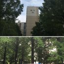 현대아파트(4차) 이미지