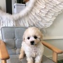 멍스라이프 이미지