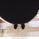 꿈꾸는북라이크작은도서관 | 꿈같은 꿈 아닌 꿈