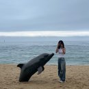 20230625-26 속초여행