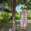 서운동 220-9 | 인천 계양꽃마루 강아지 놀이터 후기｜서울 근교 반려견 산책하기 좋았던 곳🐶