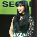 티즈나무