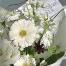 하유두인FLOWER 이미지
