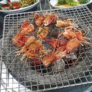 12/4 크리스마스 생화 트리 이미지