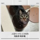 (주)파우제 이미지