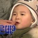 월드가몽 이미지