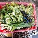 금구농장 이미지