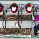 옥포항(조라) 이미지