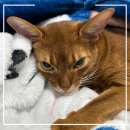 리라동물병원 이미지