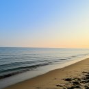 선운사의추억 | 황홀한 가을빛에 물들다: 선운사 단풍 여행 완벽 가이드