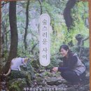 서광서리 이미지