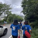 여서청사(해양수산청) | [2023 여수 싸이흠뻑쇼] 흠뻑쇼 준비물, 라인업, SR석 가구역 3천번대, 대기 및 입장시간, 숨겨진 주차...