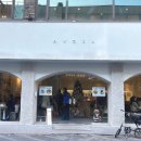 아브힐(Avril) 이미지