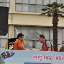 산호초등학교 이미지