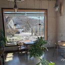 연지길 | 경남 창녕 오시우연 부곡 연지못 대형 카페 내돈내산