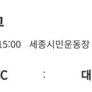 세종시민운동장 보조구장 이미지