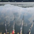 용풍낚시터 이미지