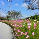 옹동면사무소 이미지