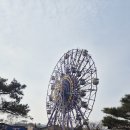 목련화 | 2026년 3월 알찬 경주여행 1박2일 다녀온 후기