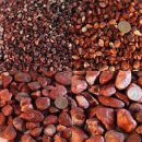 77수족관 이미지