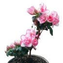 2층공인중개사사무소 이미지