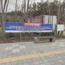 마동묘지이장