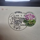물야우체국 네이버블로그