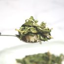 흰민들레소식 이미지