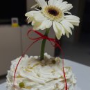 누리꿈이비인후과의원 이미지