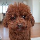 아름드리동물병원 이미지