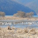 경안천누리길 이미지