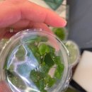 엔젤아쿠아펫가든 이미지