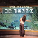 대전 신세계 아쿠아리움 할인 주차 공연 시간 꿀팁 정리