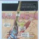필로세 | 메디웨이코리아 : 필로세 두피홈케어 사용후기