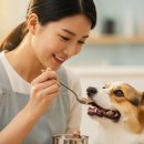 구로다나은동물병원 | 명절뿐 아니라 평소에도! 지자체 무료 반려동물 위탁 서비스