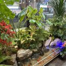 행운소곱창 이미지