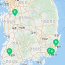 고양이분양제나캣사상점 이미지