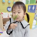 🎨솔잎 붓으로 물감 놀이해요🌲 이미지