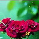 "홍하사의 잡다한 이야기"---(1567) "인생 이야기"---(385) (AI 안경 시대) &amp; (훈민정음 해례본) 이미지